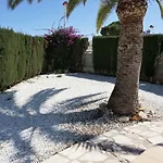 Rosa *